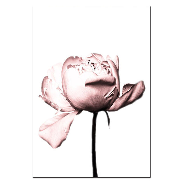 Peony Flower Wall Art Coco Print Fashion Art Poster Blush Pink Canvas Prints Painting Nordic Decoration Living Room Home Decor